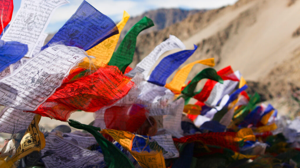 Leh Ladakh Tour (15)